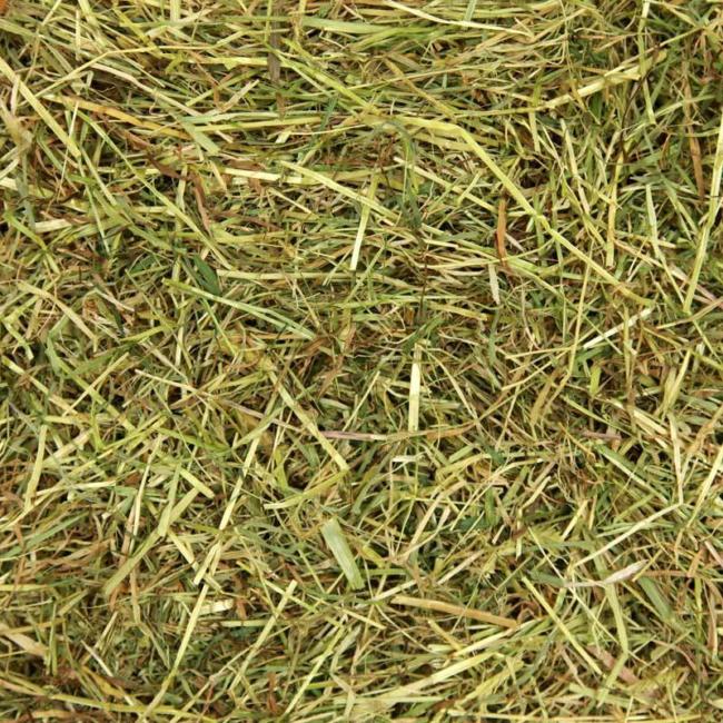 Devon Meadow Hay