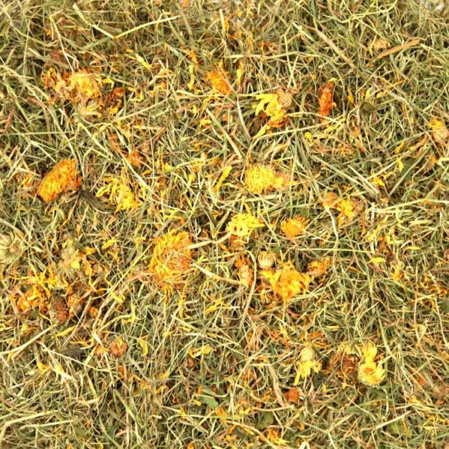 Timothy Rich Hay with Marigold and Dandelion