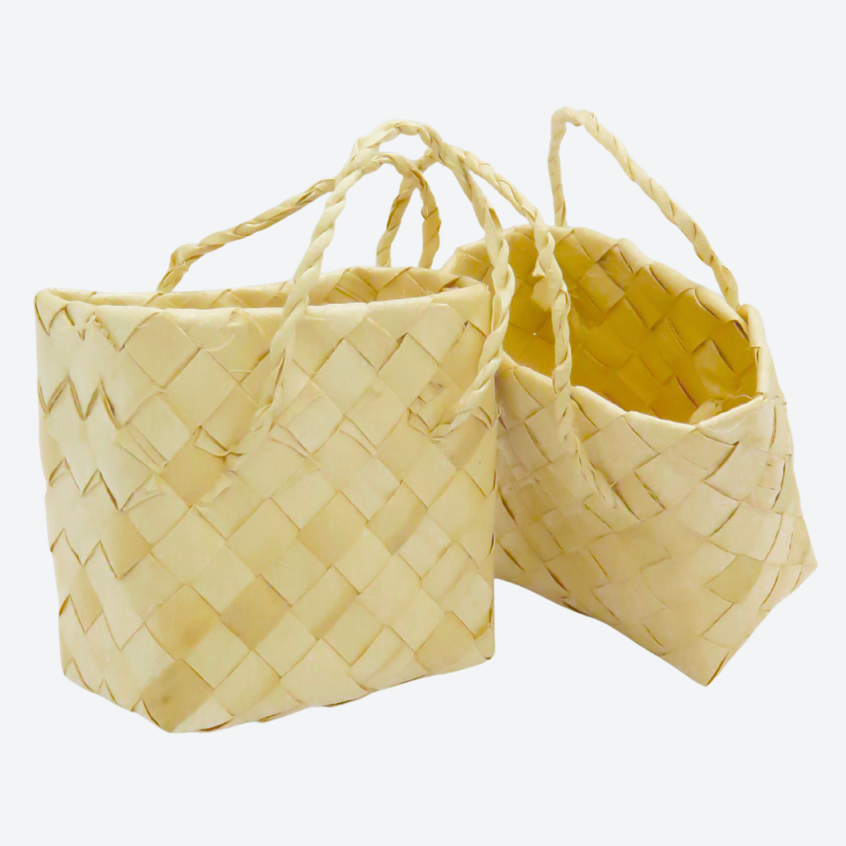 Mini Palm Leaf Bag