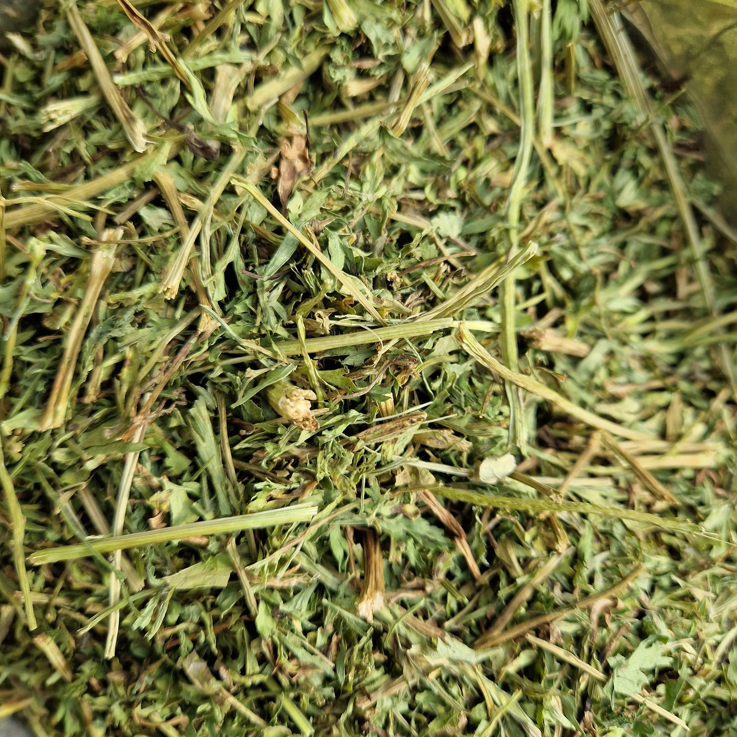 Carrot Tops Hay Topper