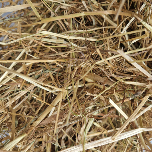 Wild About Bunnies Rye Hay Box