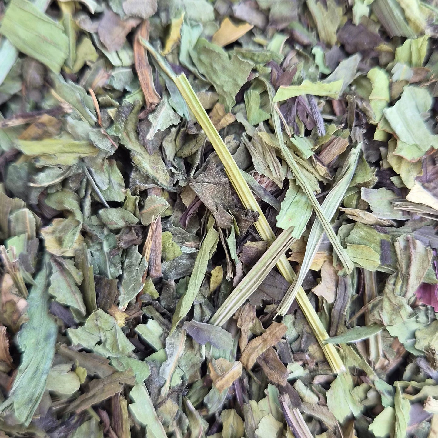 Fine Cut Plantain & Echinacea (hay topper)