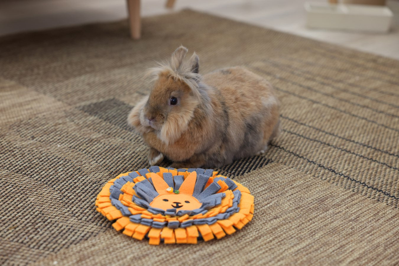 Rabbit Snuffle Mat