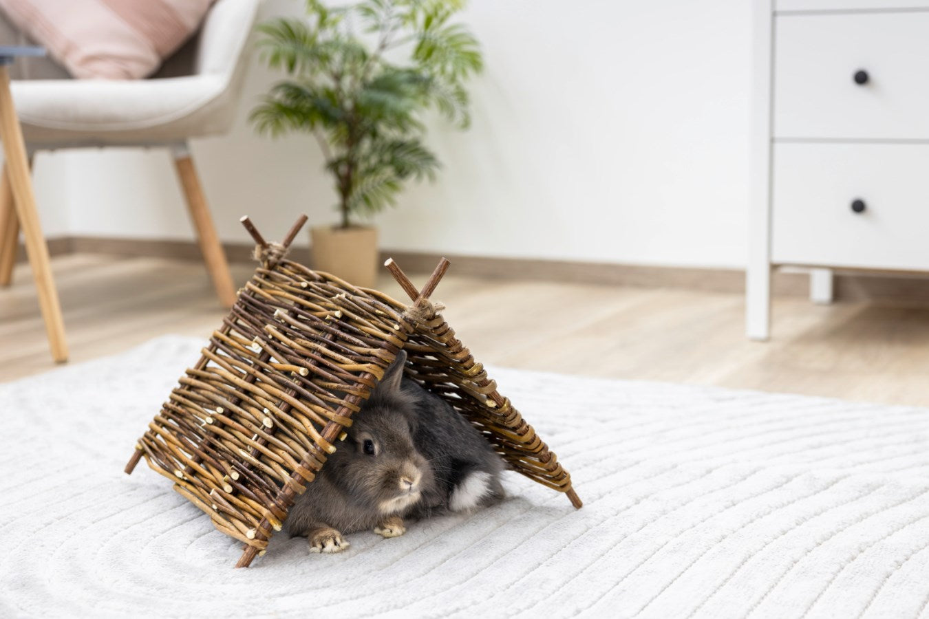Willow Teepee