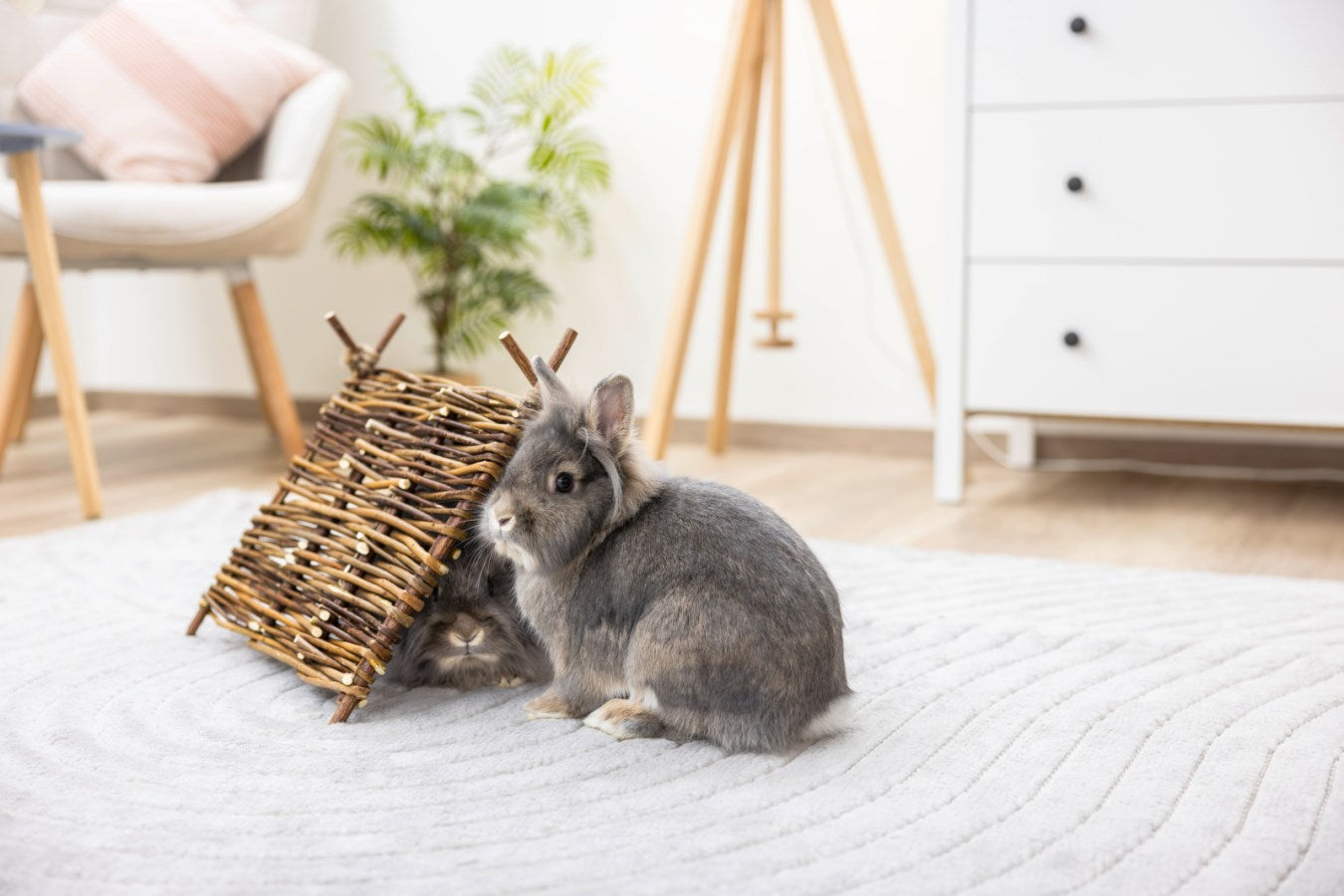 Willow Teepee