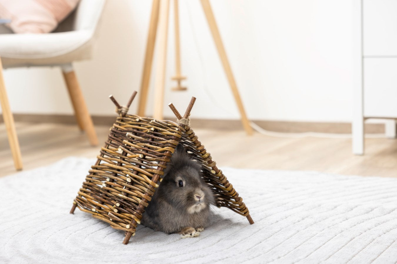 Willow Teepee