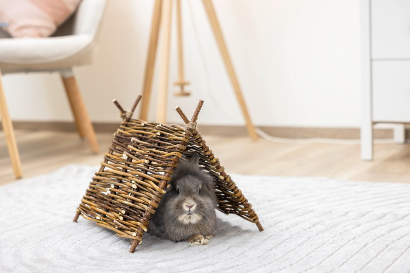 Willow Teepee