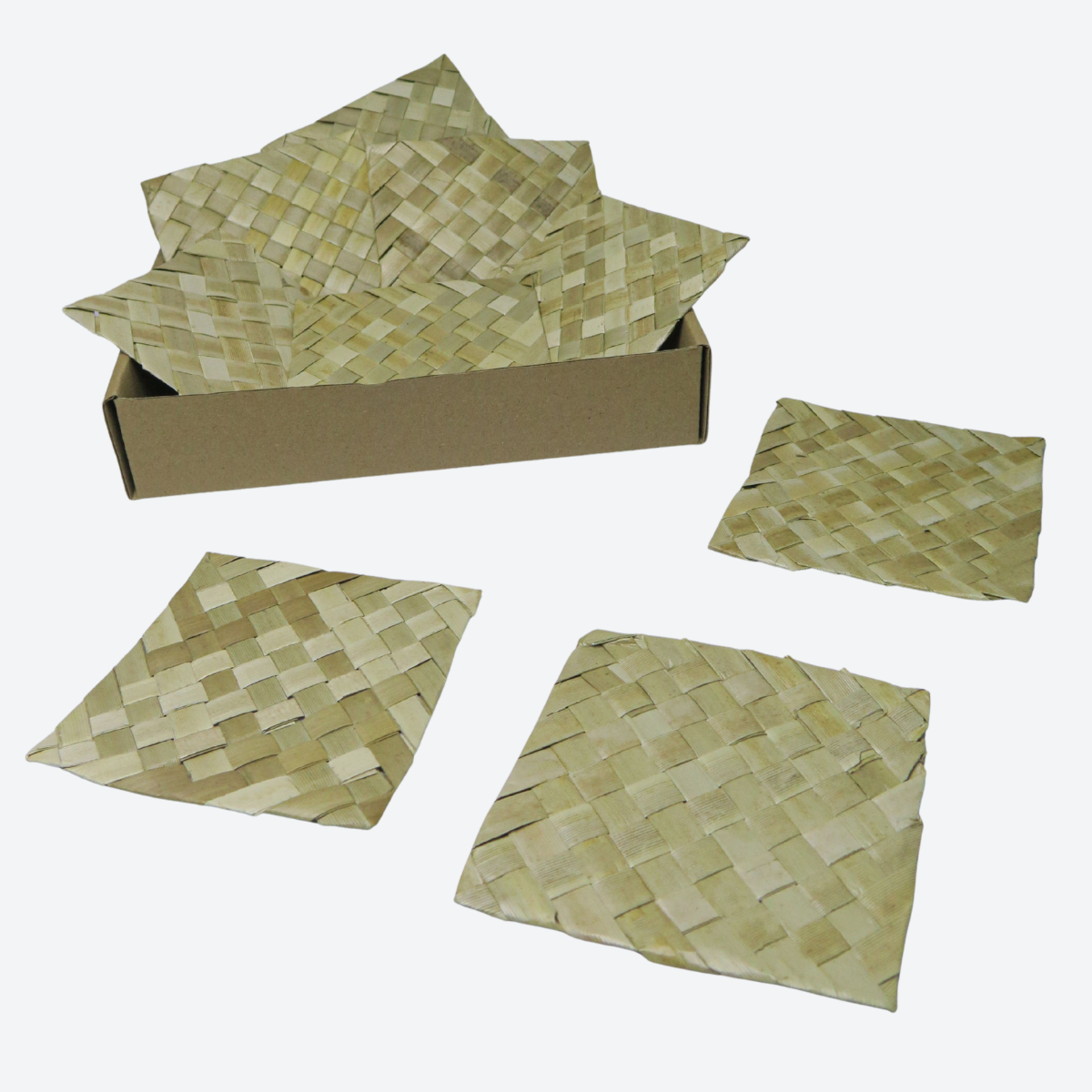 Palm Leaf Square
