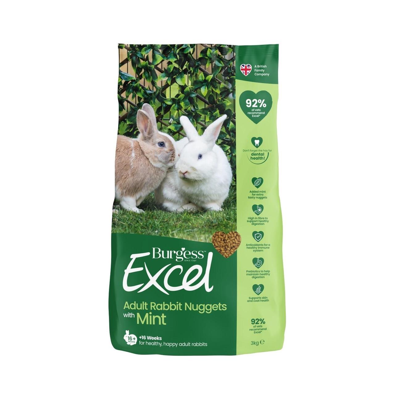 Burgess Excel Nuggets with Mint