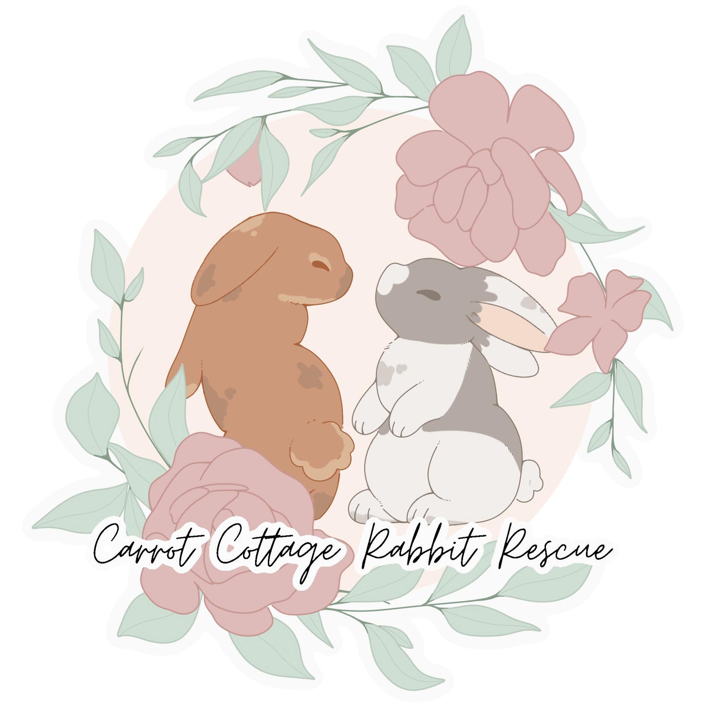 Donation To Carrot Cottage Rabbit Rescue