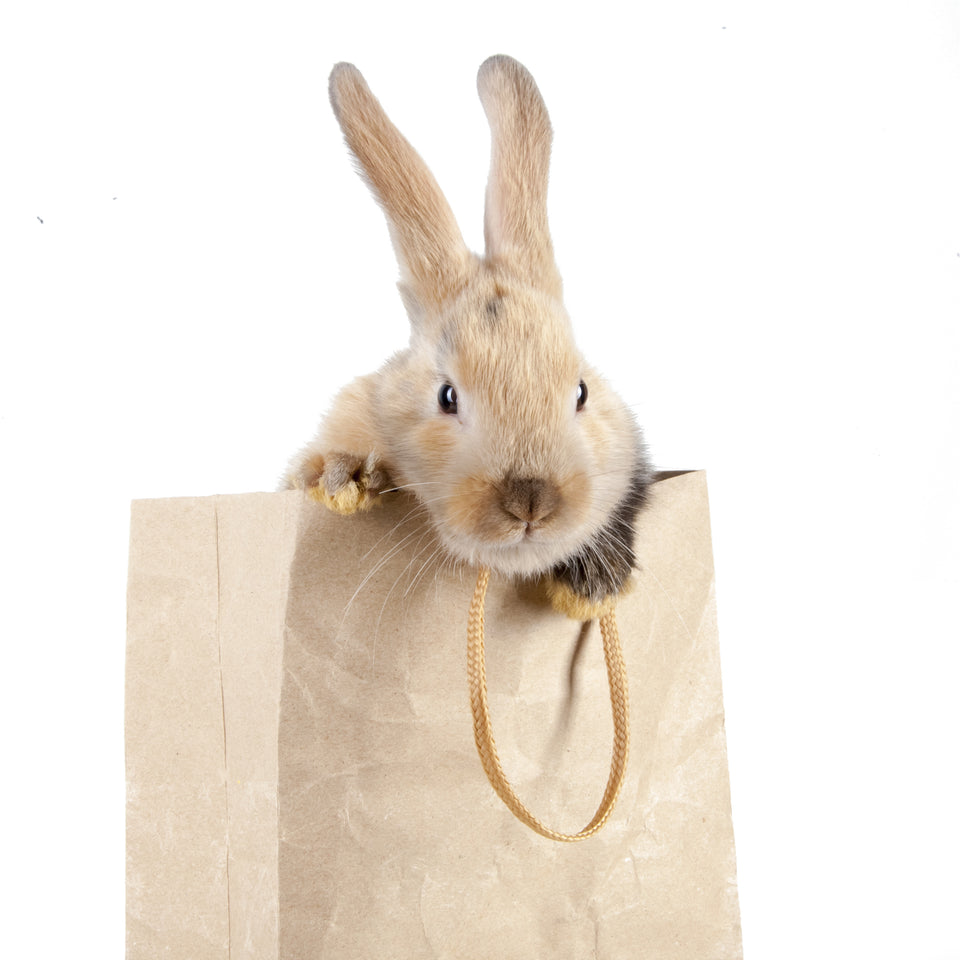 Baby bunny/rabbit essential.  