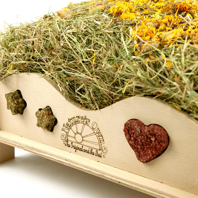 Hay Feeder incl. Free Hay & Treat Bundle
