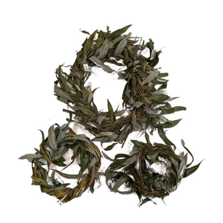 Willow Wreath