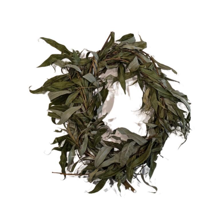 Willow Wreath