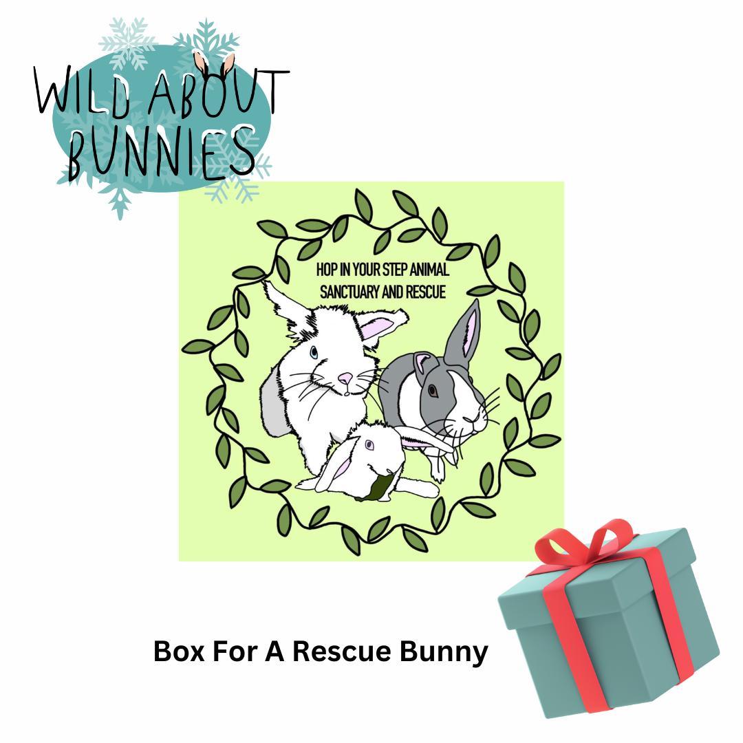 Rescue Box for Hop In Your Step