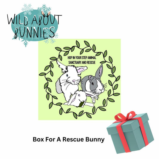 Rescue Box for Hop In Your Step