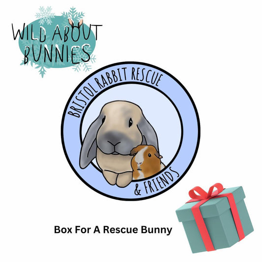 Rescue Box for Bristol Rabbit Rescue
