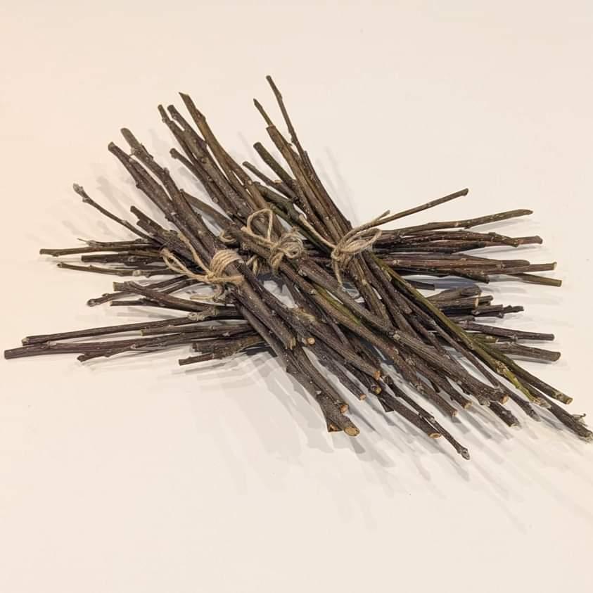 Bundle of Apple Twigs