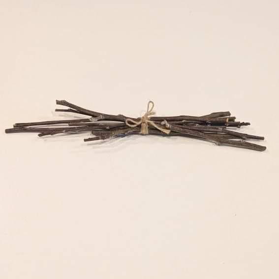 Bundle of Apple Twigs