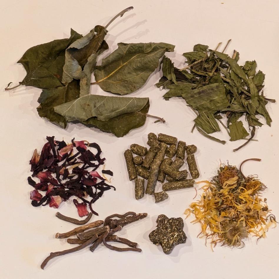 Christmas Forage Present