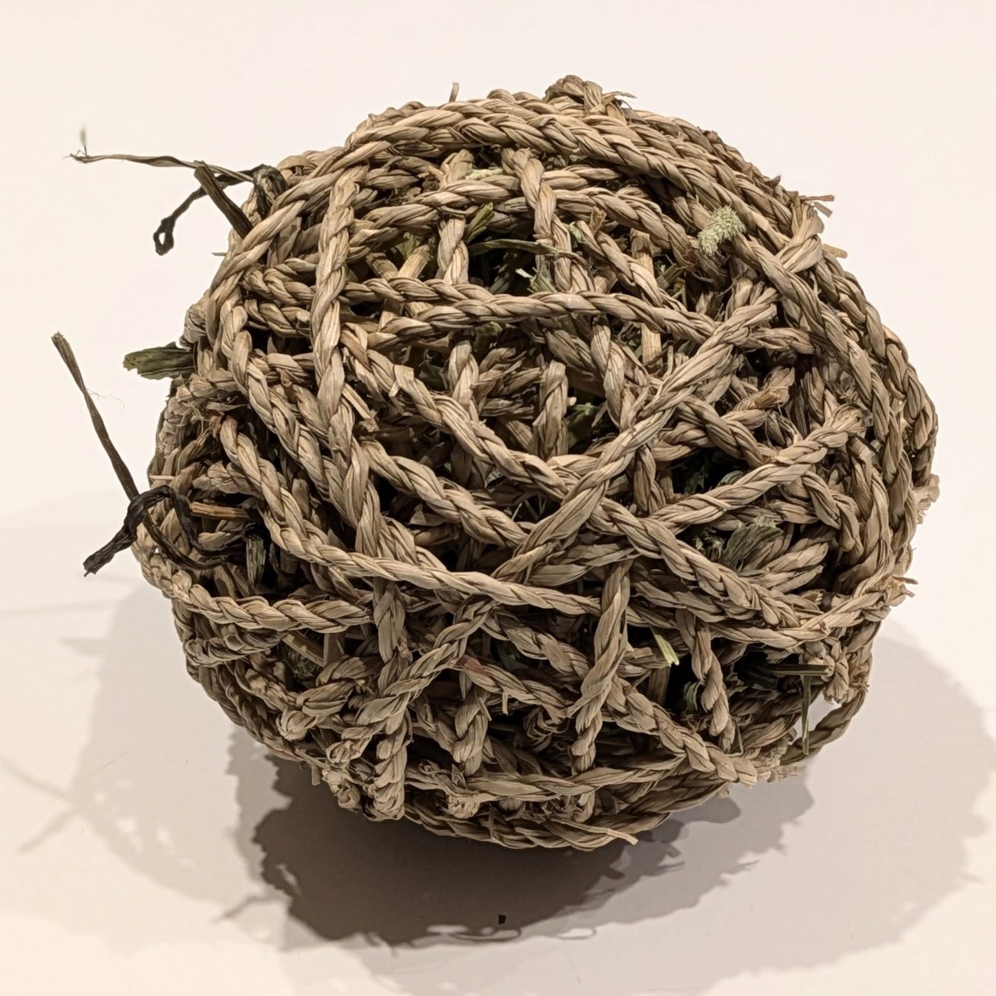 Forage Filled Seagrass Play Ball