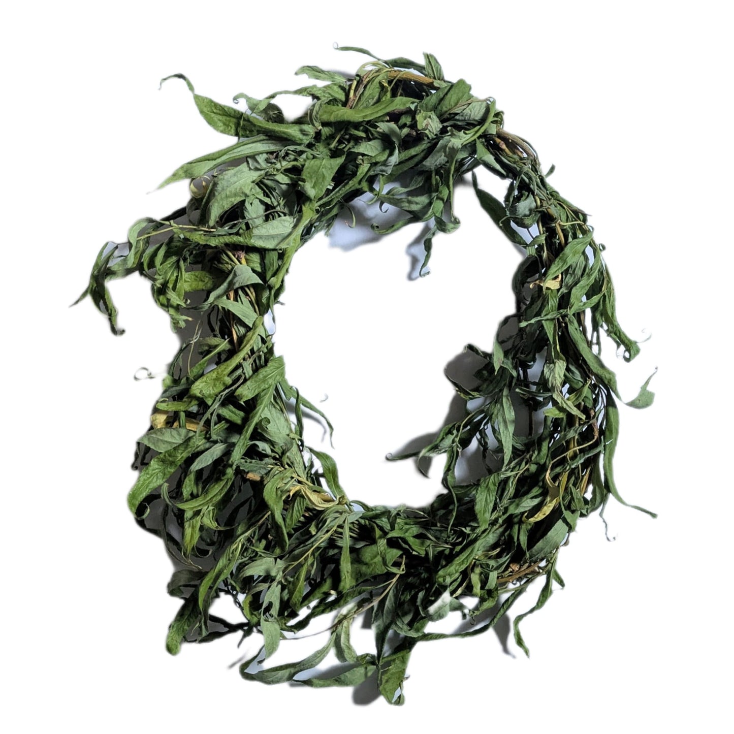 Willow Wreath