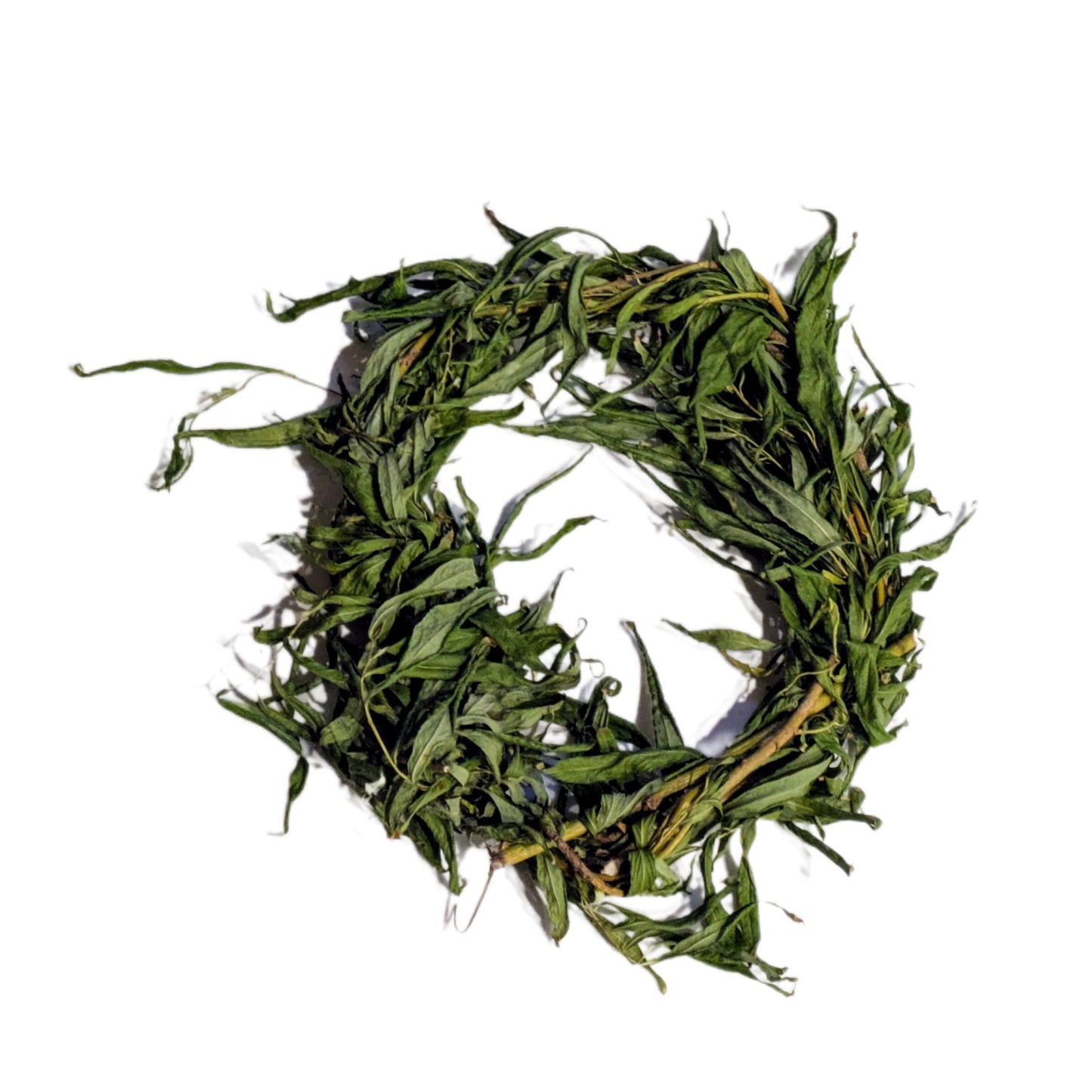 Willow Wreath