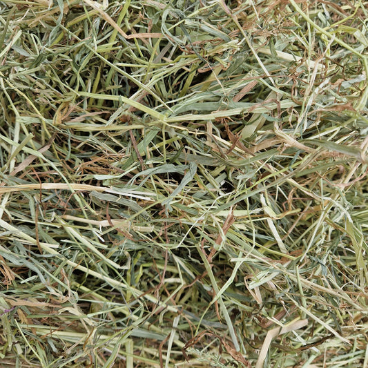 Wild About Bunnies 1st cut Timothy Hay Box