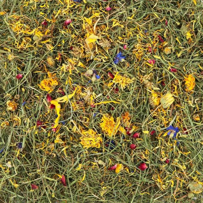 Timothy Rich Hay with Mixed Flowers