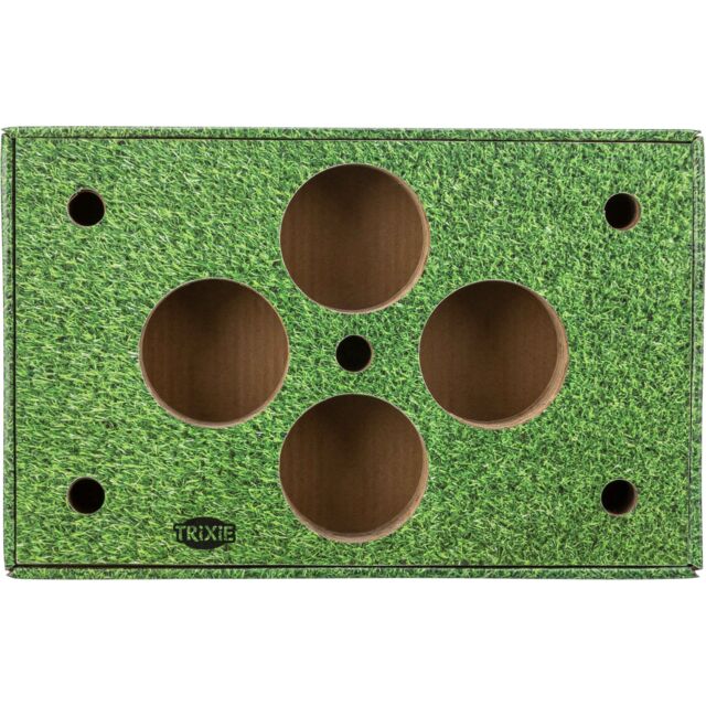 Snack Plate