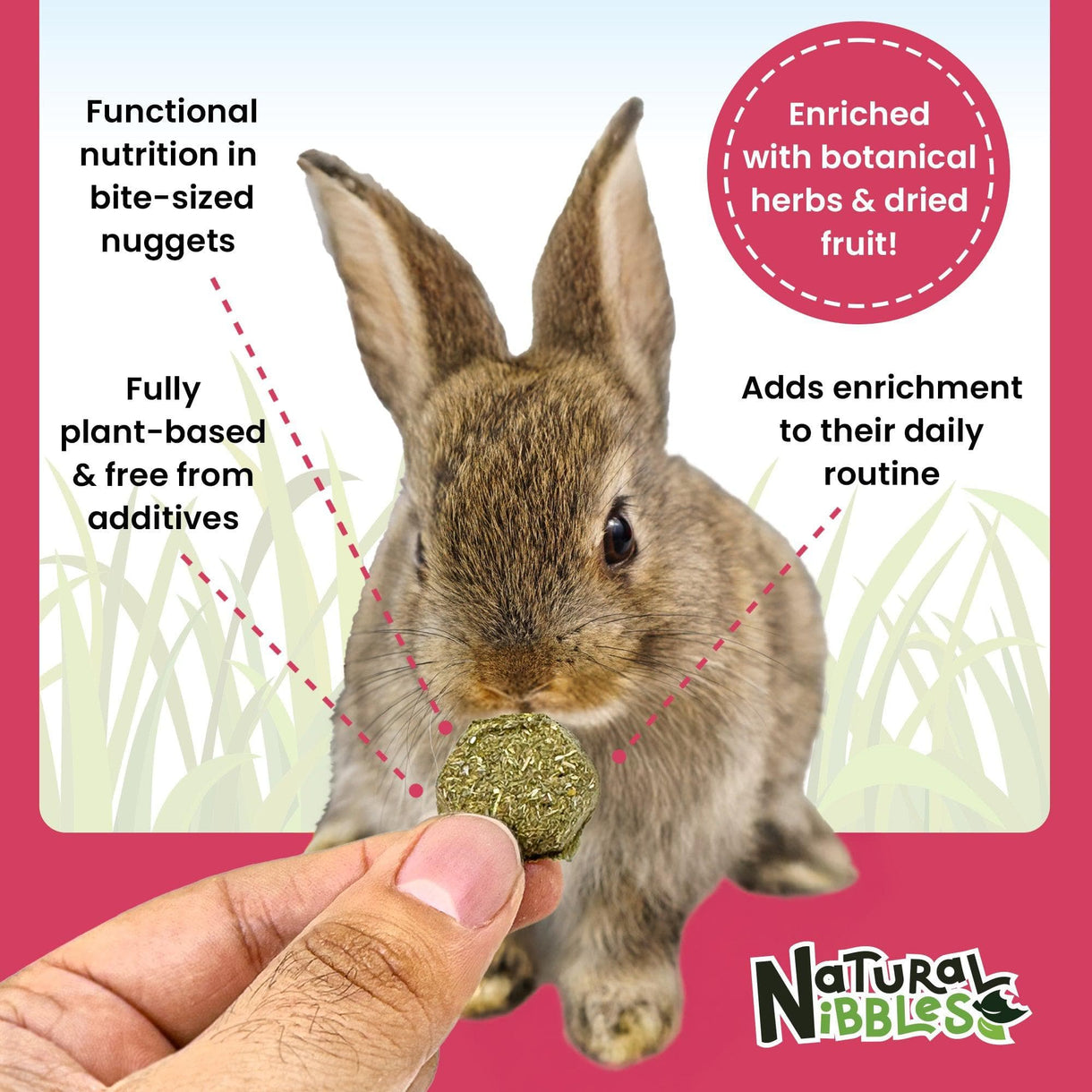 Natural Nibbles ProCare+ Vitamin C