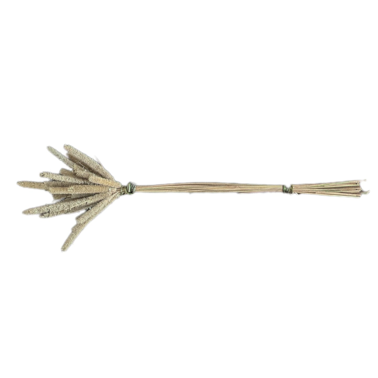 Timothy Hay Broomstick