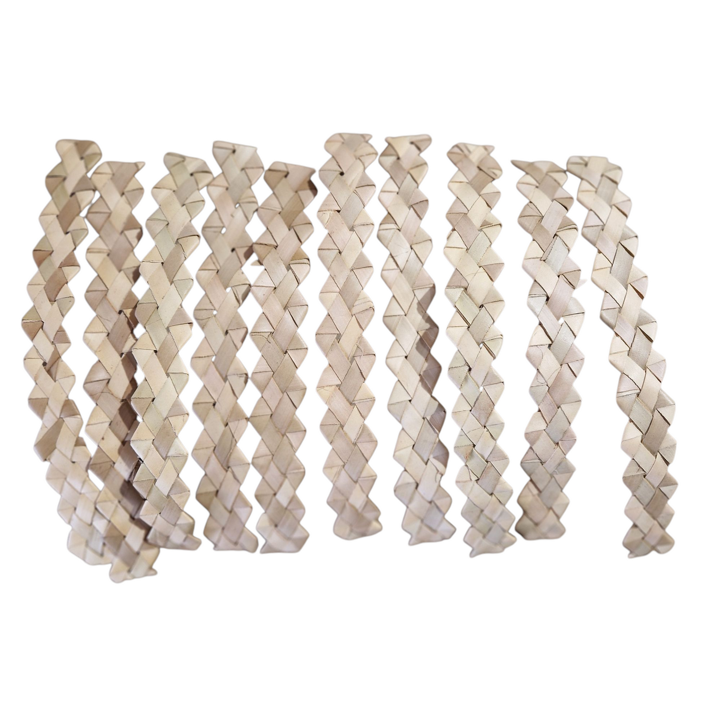 Palm Ribbon