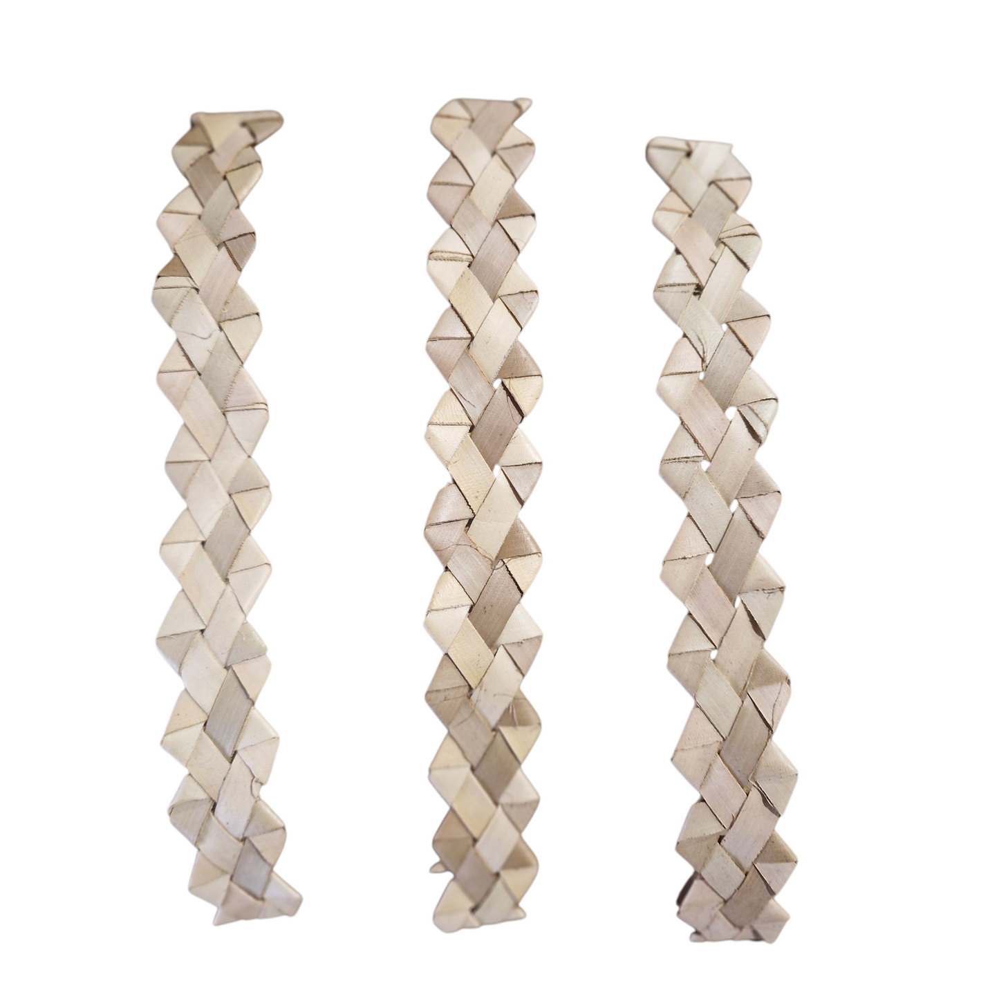 Palm Ribbon