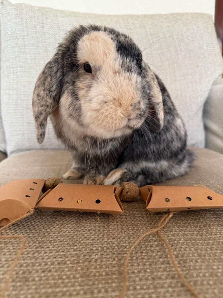 Forage Party Bunting