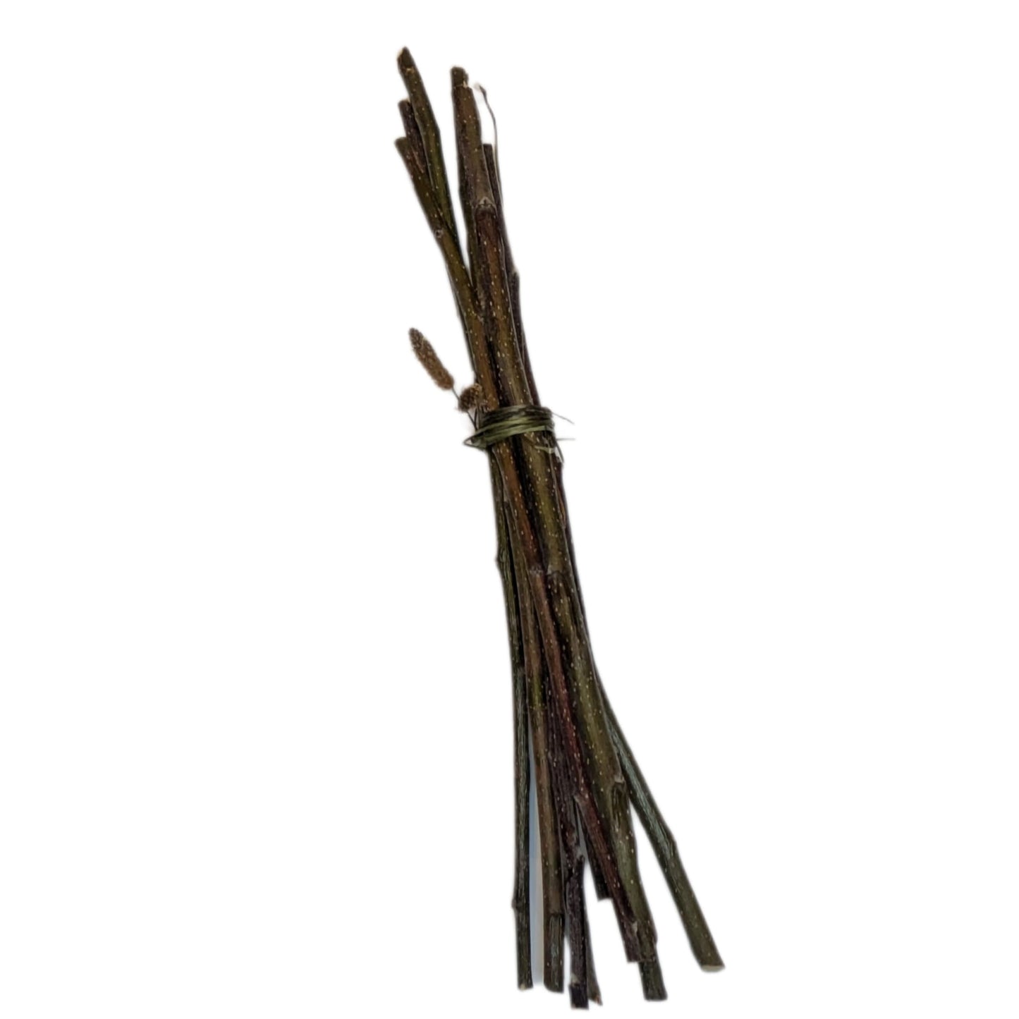 Bundle of Apple Twigs with Plantain