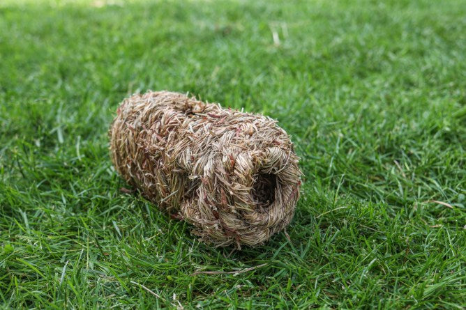 Grass Pipe
