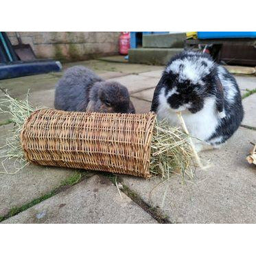 Willow Tube (Chew Toy/Hay Feeder)