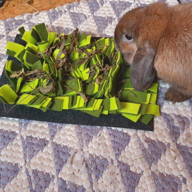 Snuffle Forage Mat