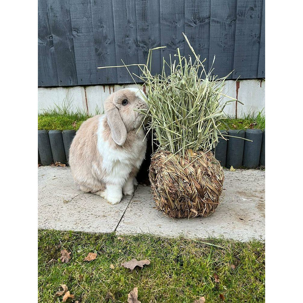 Grass Nest (Hay Bomb)