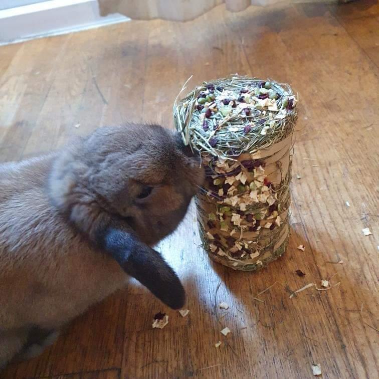 Small Hay Bale