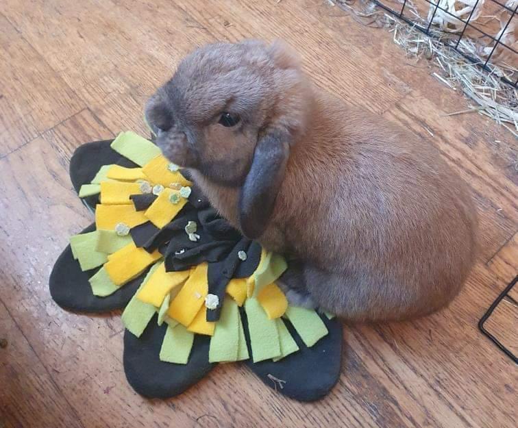 Sunflower Snuffle Mat