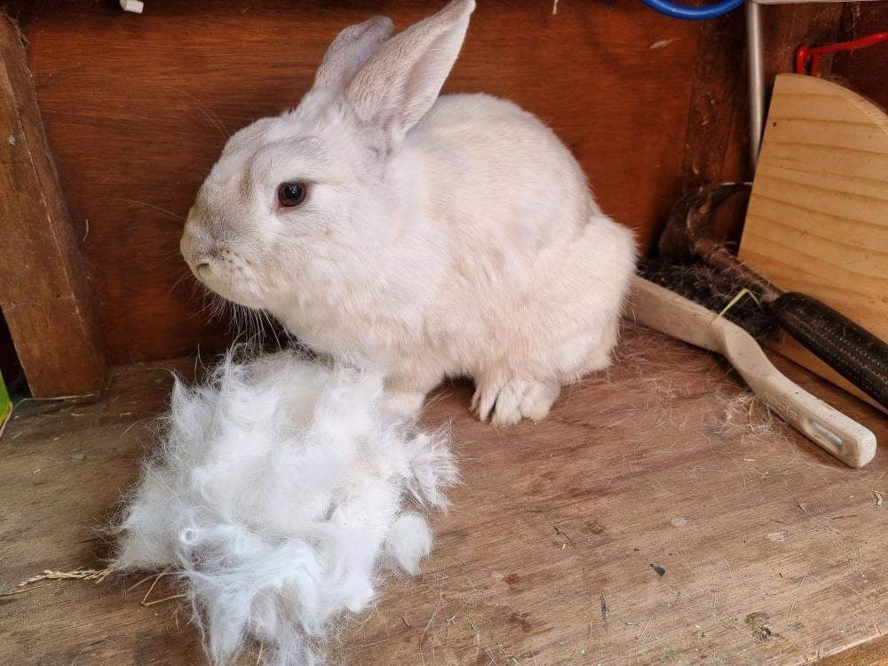 HairBuster Comb