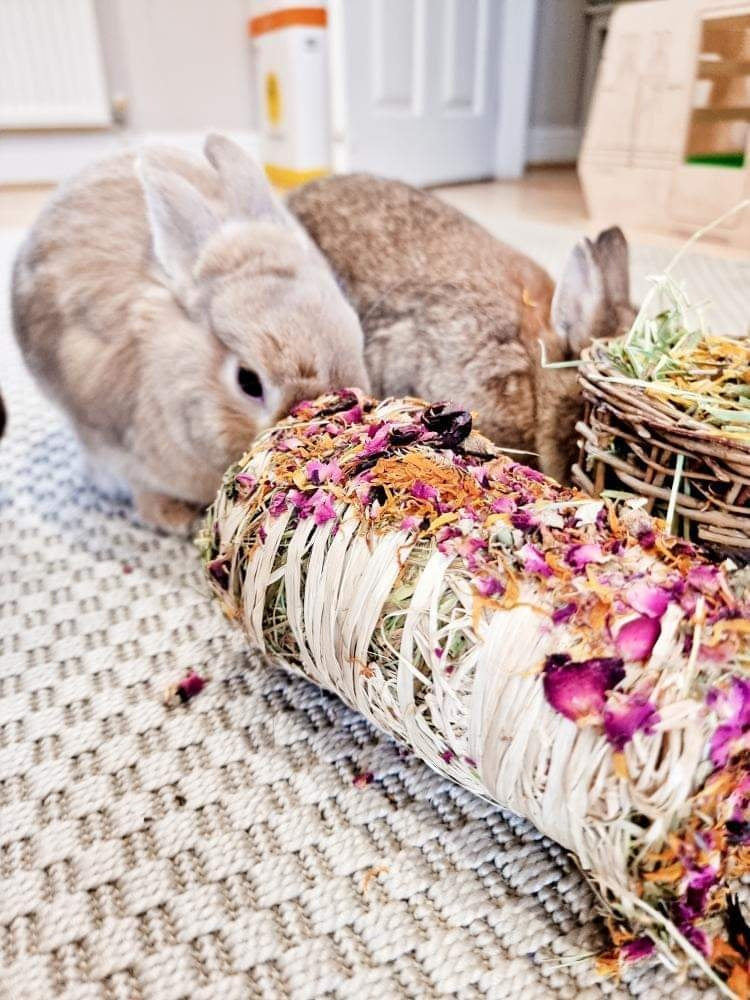 Small Hay Bale