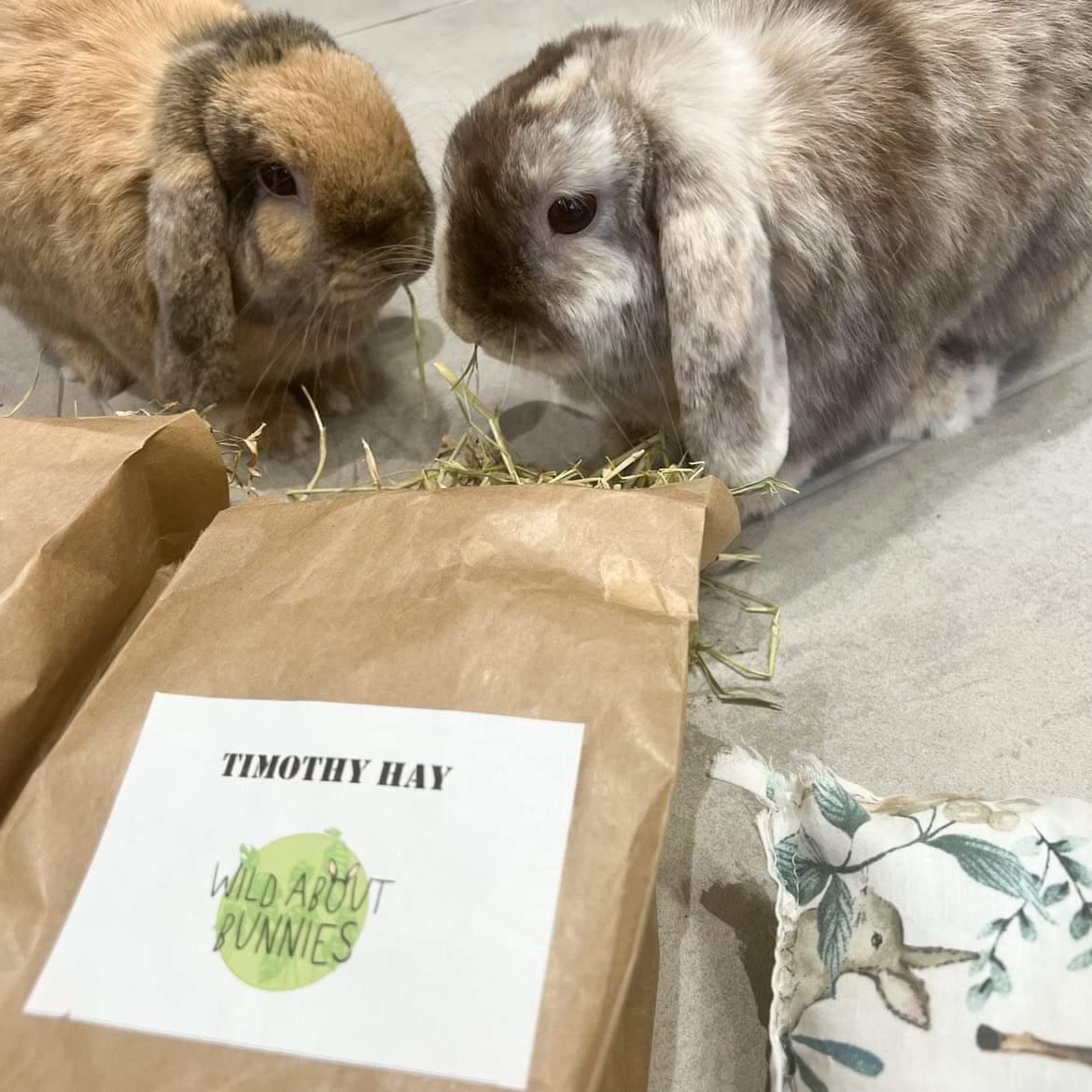 Wild About Bunnies 1st cut Timothy Hay Box