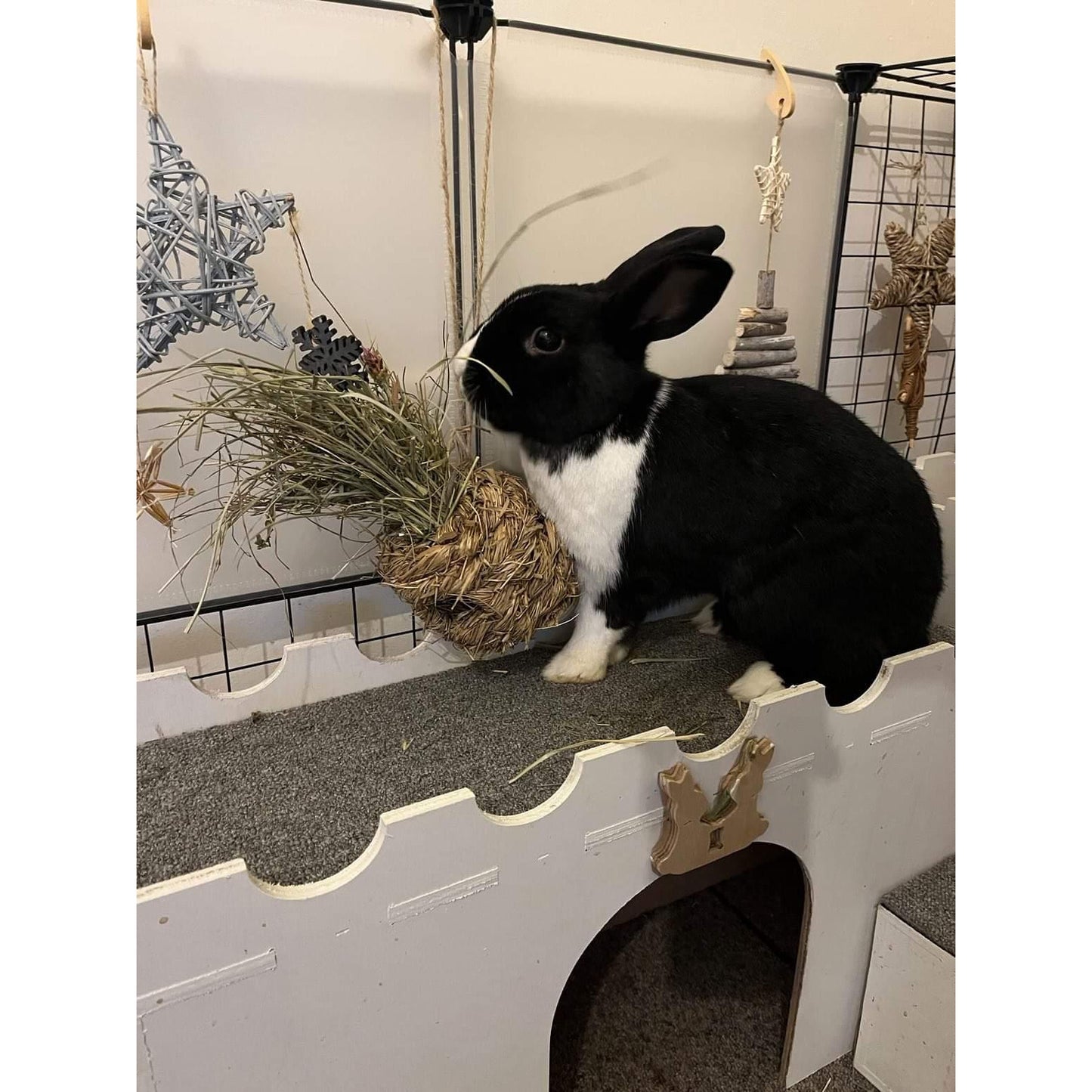 Grass Nest (Hay Bomb)