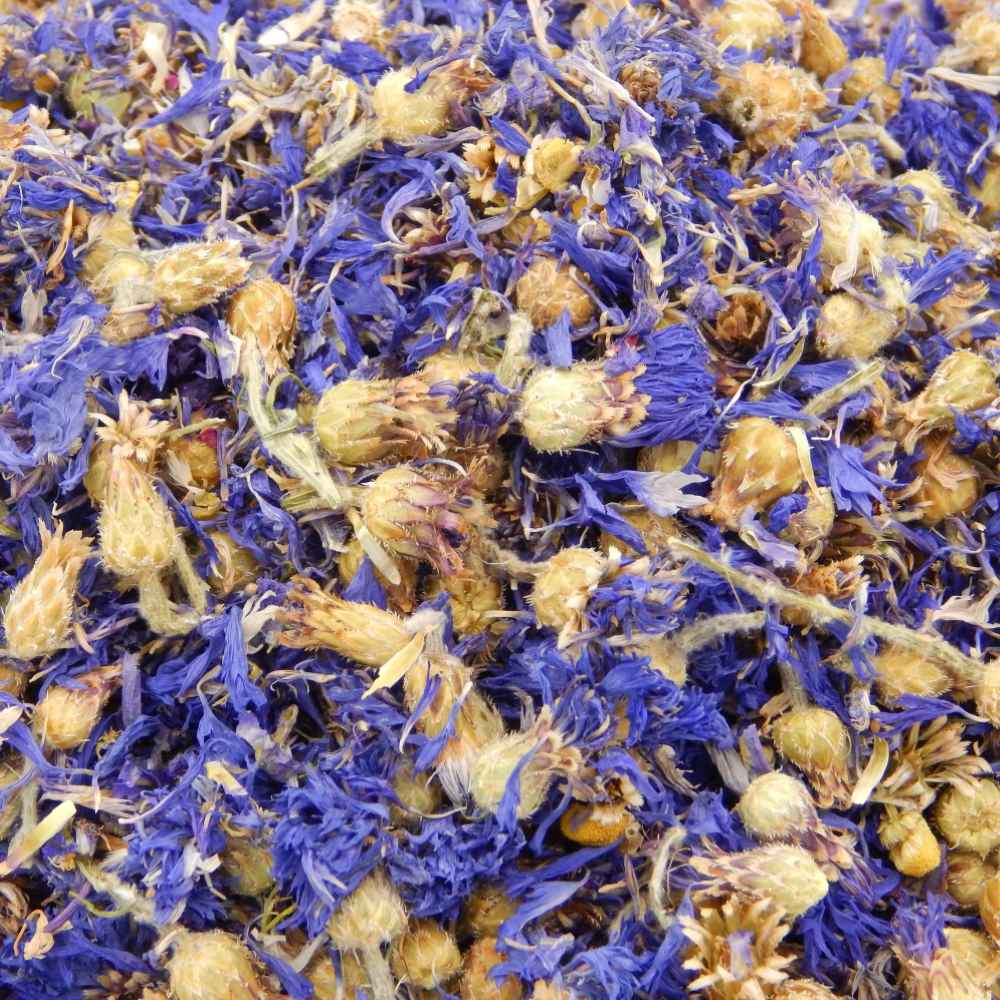 Blue Cornflowers