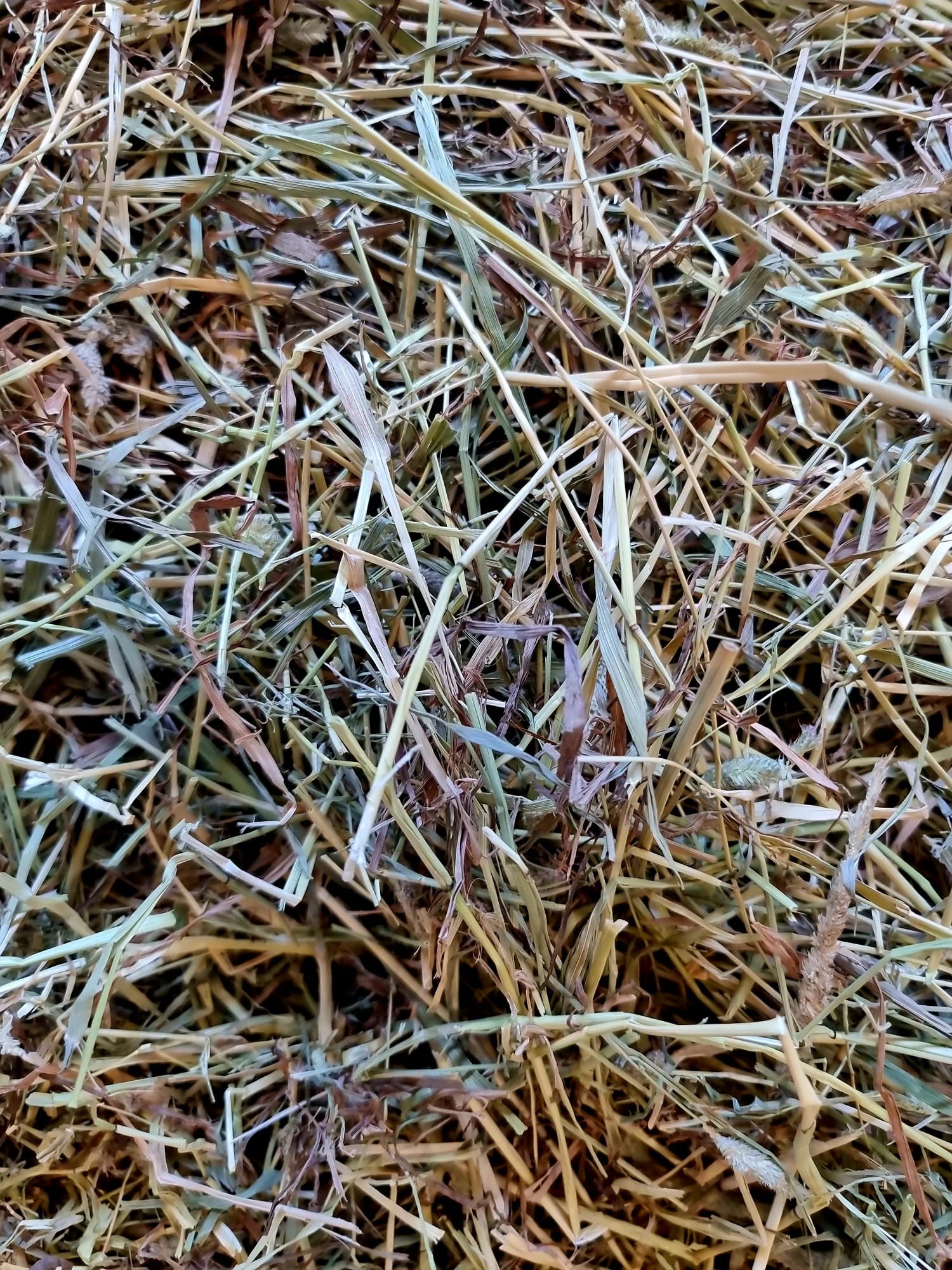 Boxed Hay & Hay Pellets