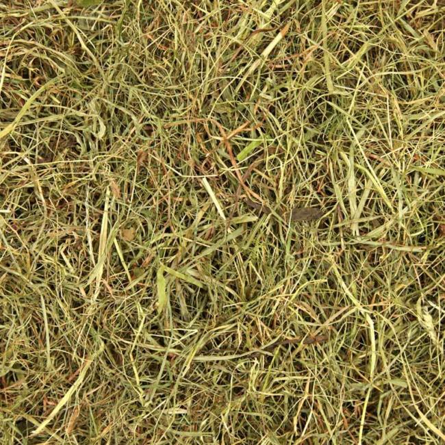 Sweet Green Hay