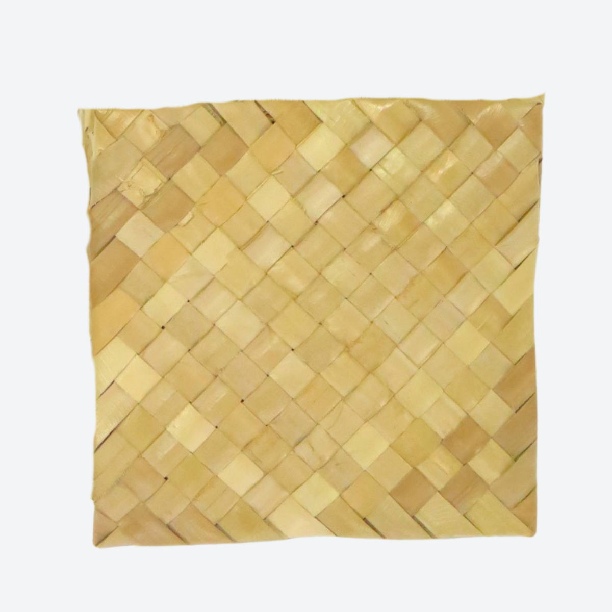 Palm Leaf Square